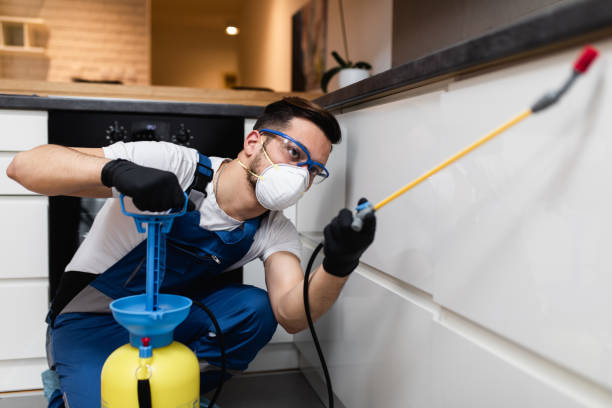 Best Rat Extermination Near Me  in Blanco, TX