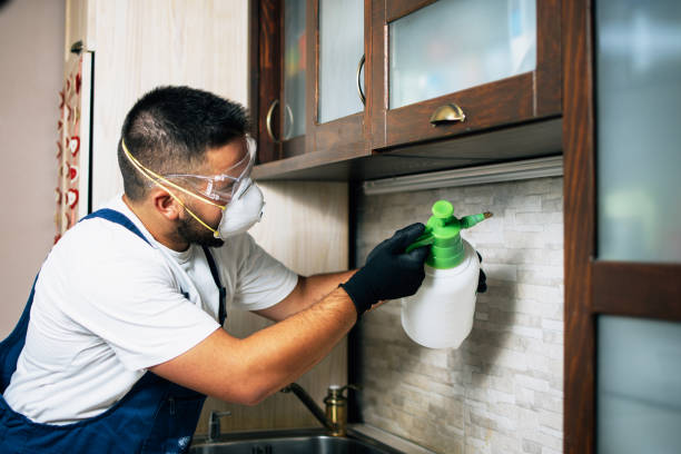Best Best Pest Control Companies  in Blanco, TX