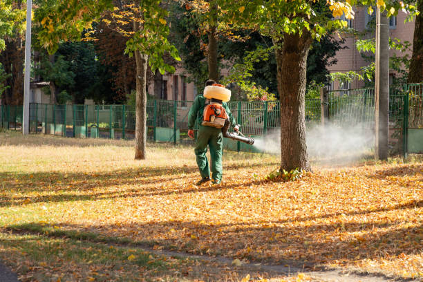 Pest Control Cost in Blanco, TX